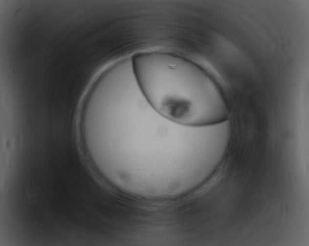 X0000096991079200802080915