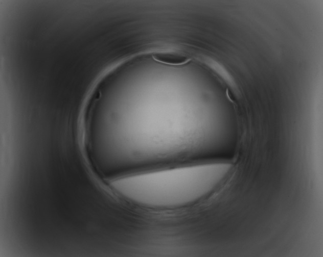 X0000096991080200802080915
