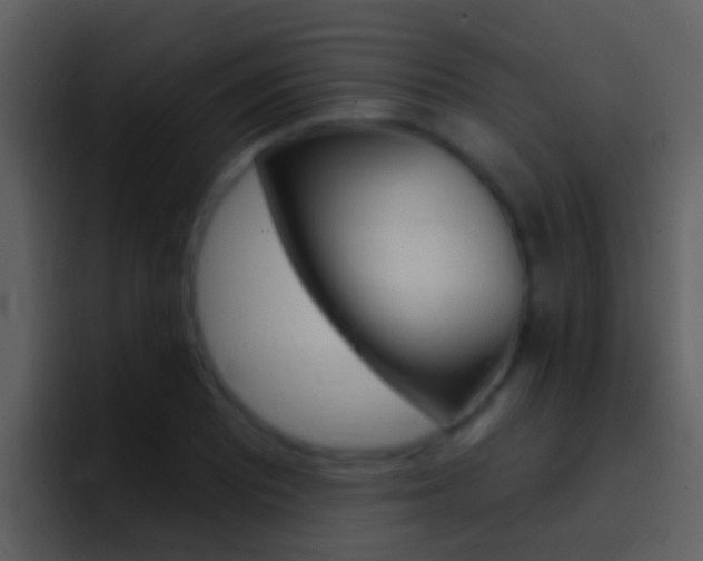 X0000096991081200802080915