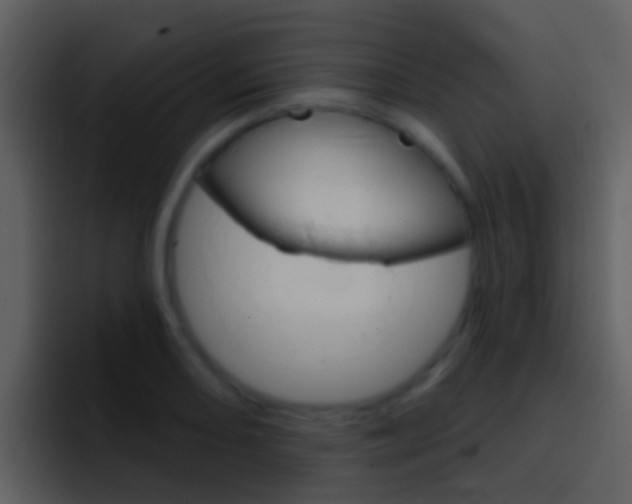 X0000096991082200802080915