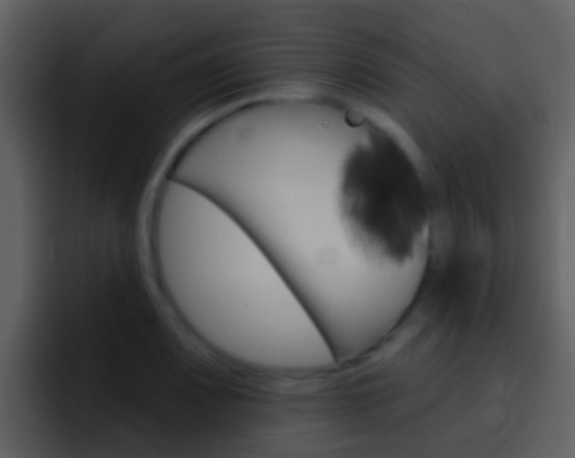 X0000096991083200802080915