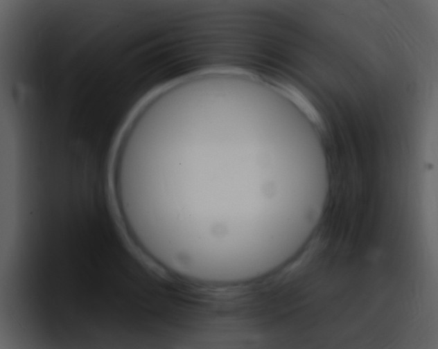 X0000096991084200802080914