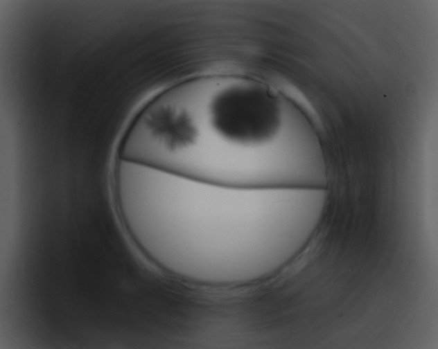 X0000096991087200802080914