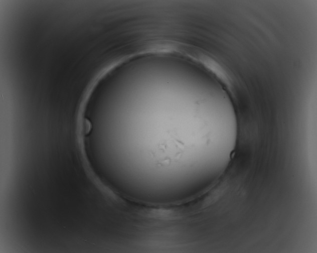 X0000096991088200802080914