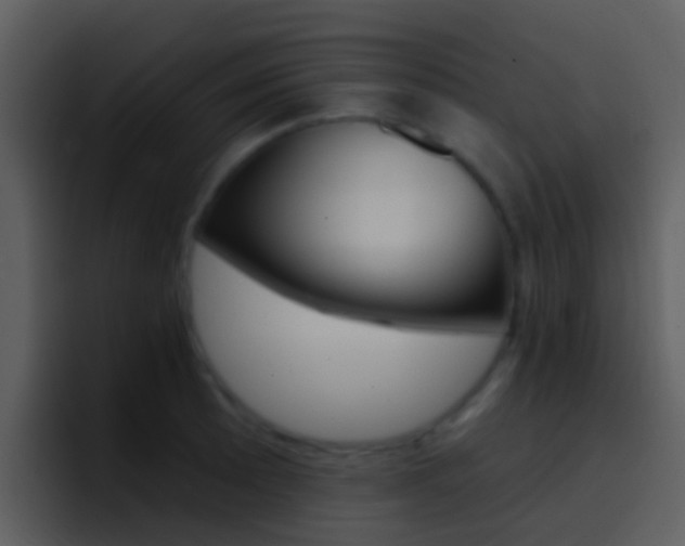 X0000096991089200802080914