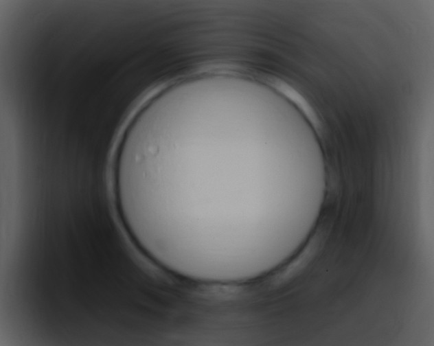 X0000096991090200802080914