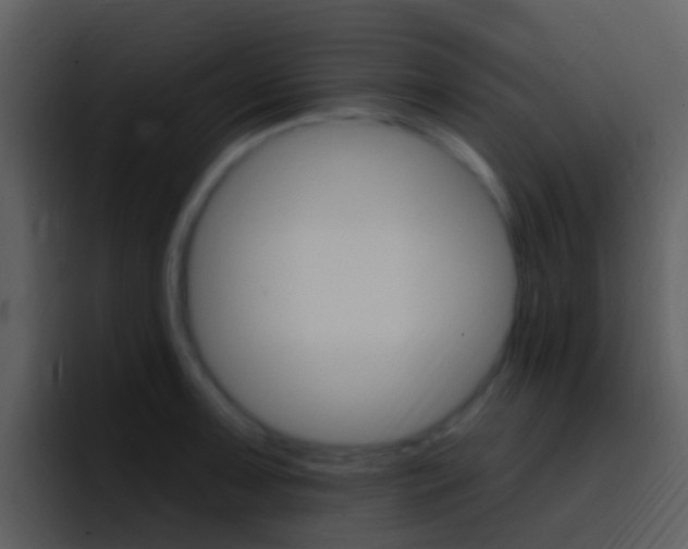 X0000096991091200802080914