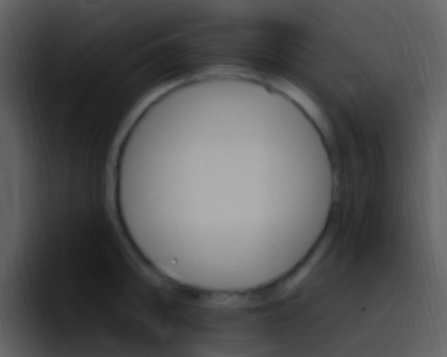 X0000096991094200802080914