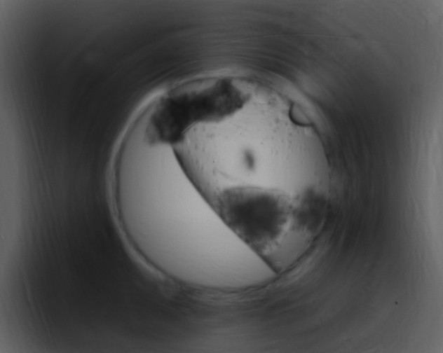 X0000096991095200802080914