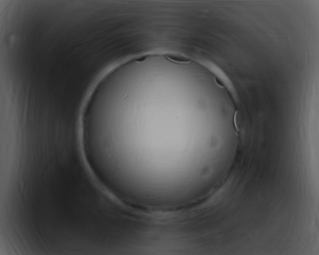 X0000096991096200802080914