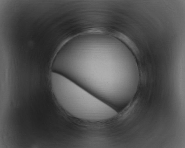X0000096991097200802080914