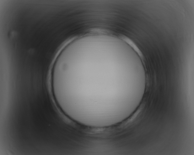 X0000096991098200802080914