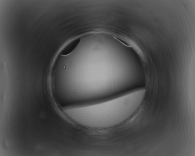 X0000096991100200802080914