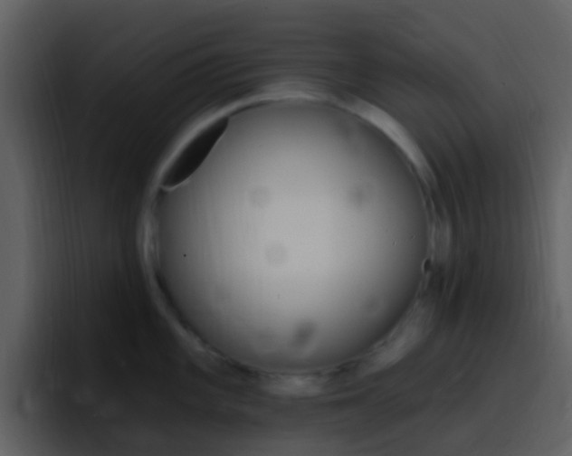 X0000096991101200802080914