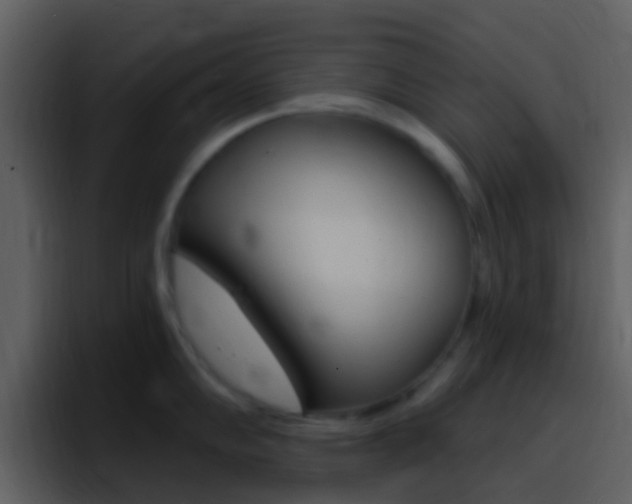 X0000096991102200802080914