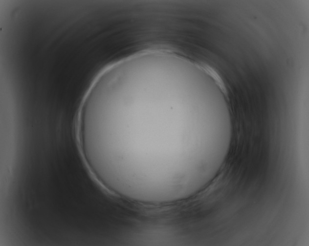 X0000096991103200802080914