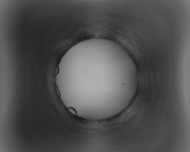 X0000096991105200802080914