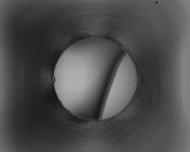 X0000096991107200802080914