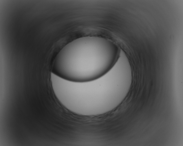 X0000096991108200802080914