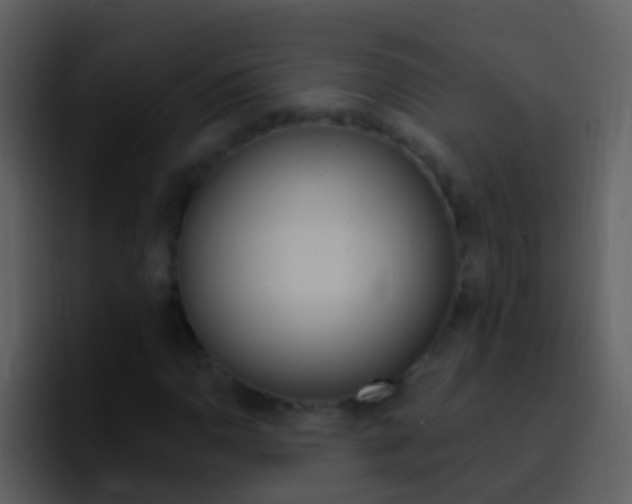 X0000096991110200802080914