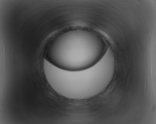 X0000096991112200802080914