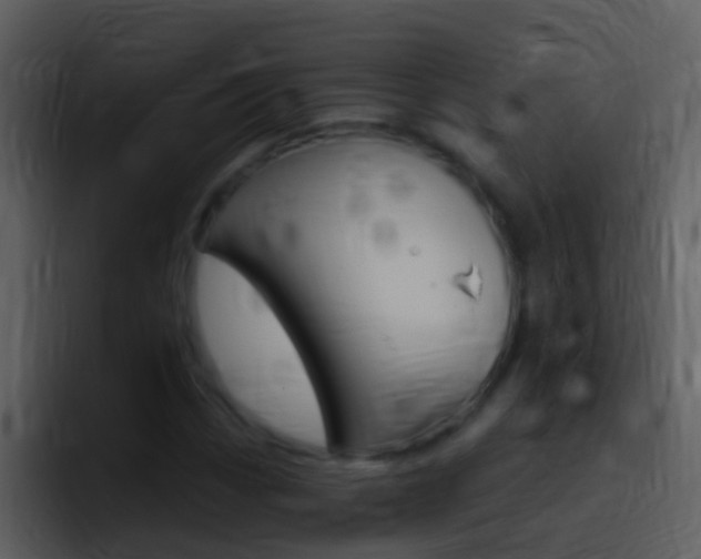 X0000096991113200802080914