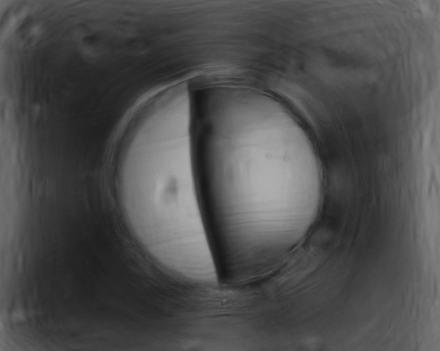 X0000096991115200802080914