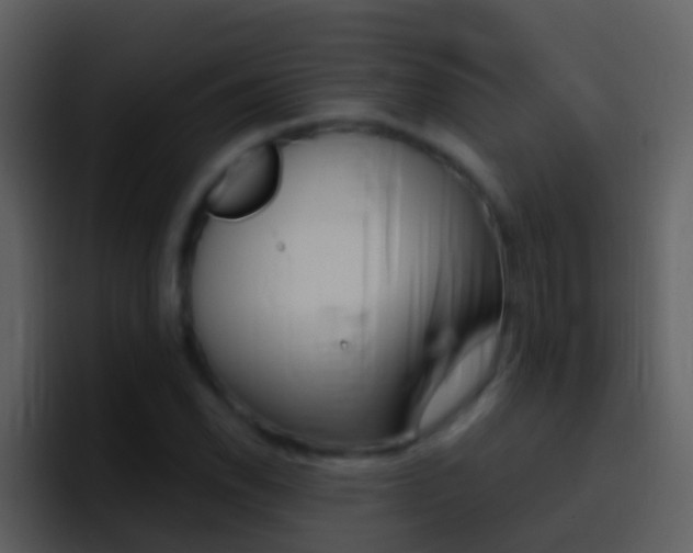 X0000096991118200802080914