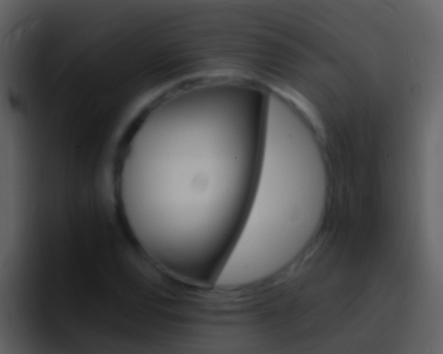X0000096991120200802080914