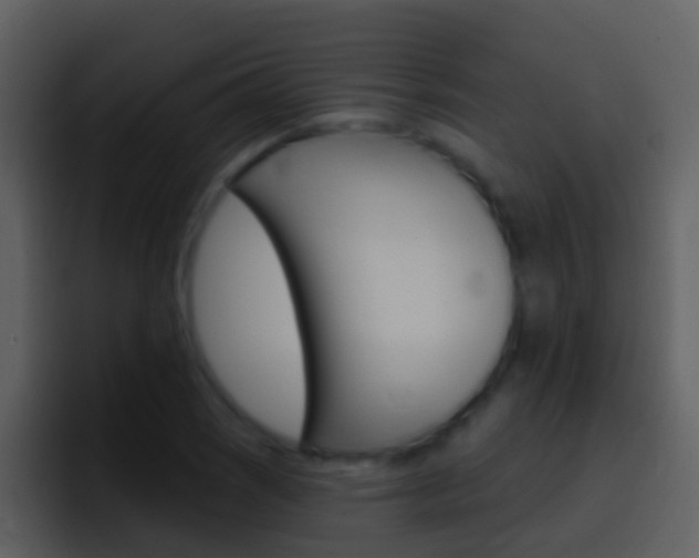 X0000096991121200802080914