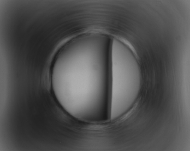 X0000096991123200802080914