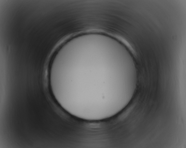 X0000096991126200802080914