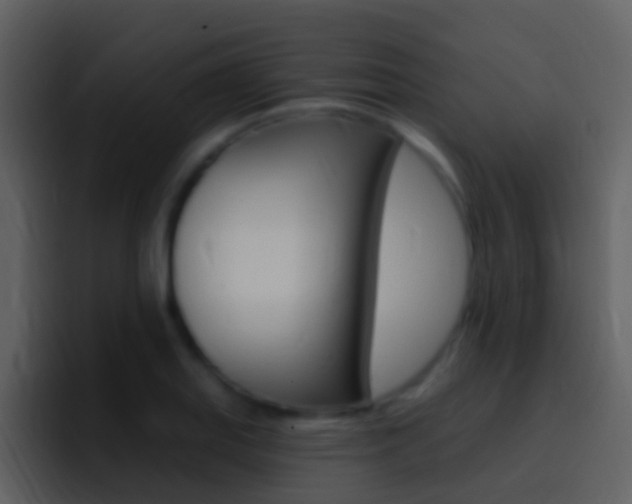 X0000096991127200802080914