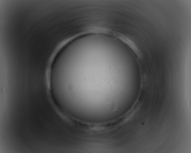 X0000096991128200802080914