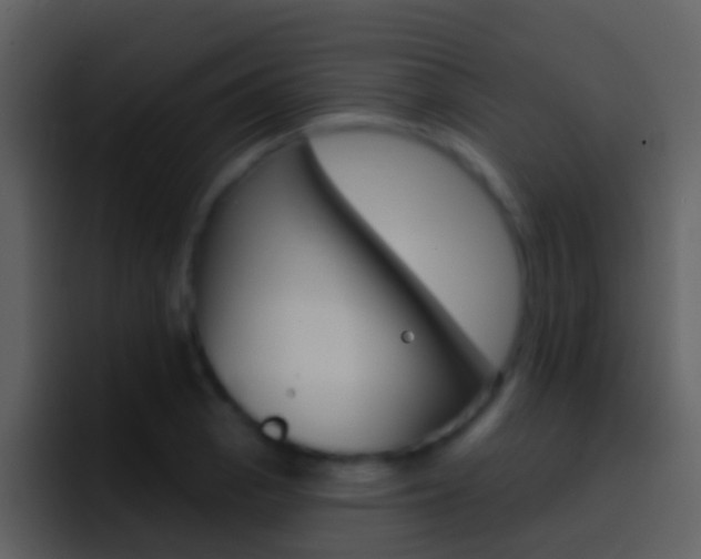 X0000096991129200802080914