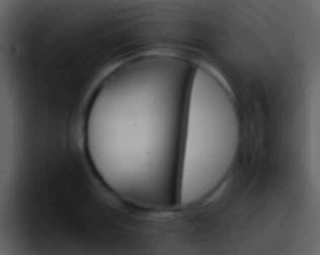 X0000096991131200802080914