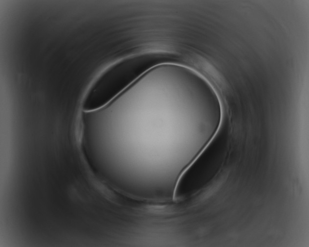 X0000096991132200802080914