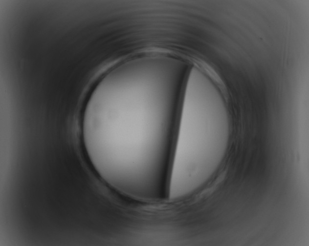 X0000096991133200802080914