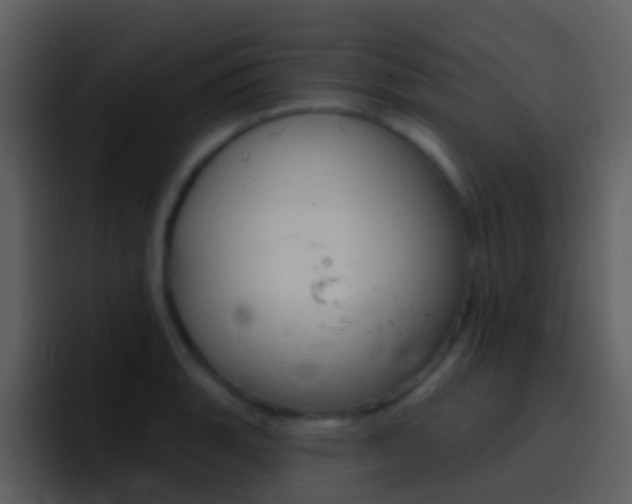 X0000096991135200802080914
