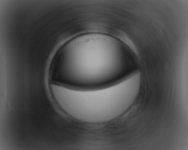 X0000096991136200802080914