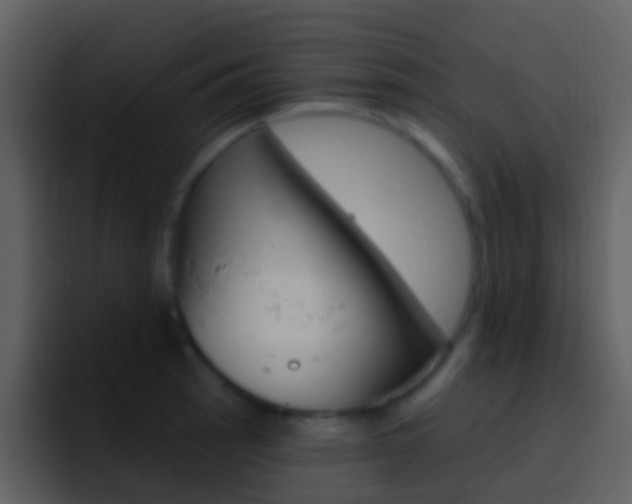 X0000096991137200802080914