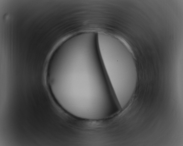 X0000096991139200802080914