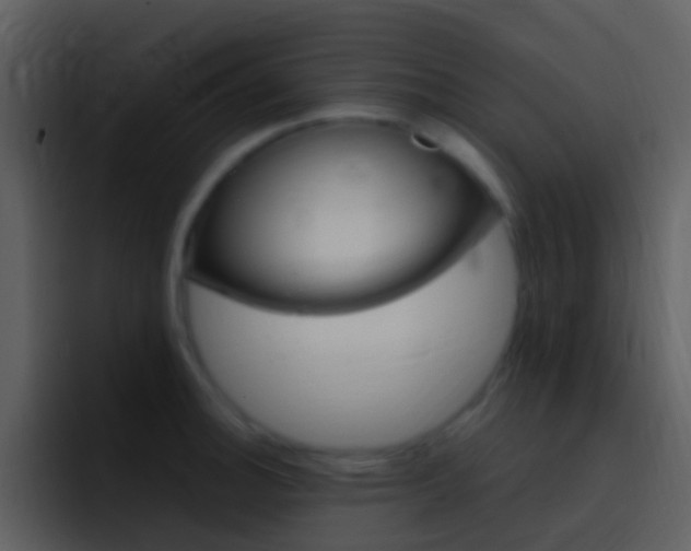 X0000096991140200802080914