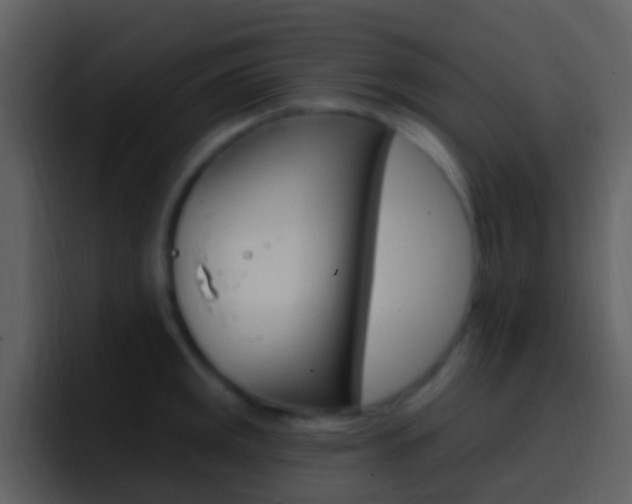 X0000096991141200802080914