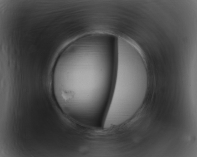 X0000096991144200802080914