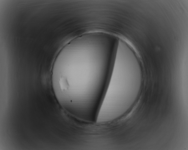 X0000096991145200802080914