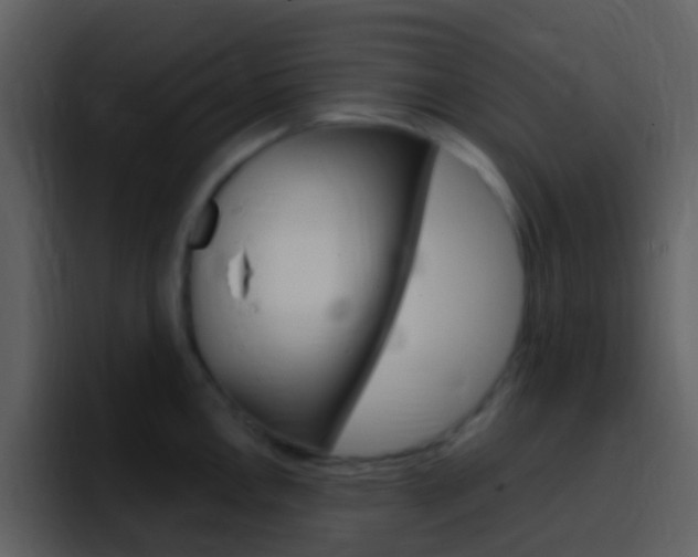 X0000096991146200802080914