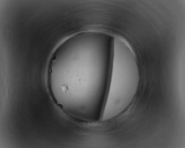 X0000096991147200802080914