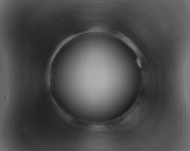 X0000096991148200802080914