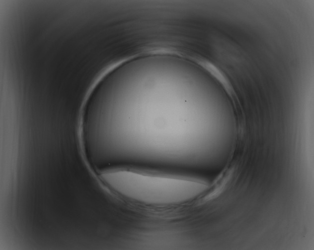 X0000096991149200802080914